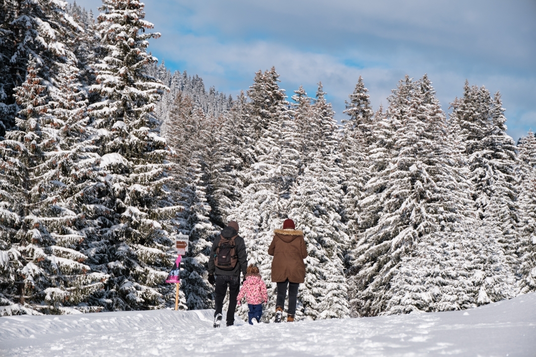 Visualps - Mathieu Chassot