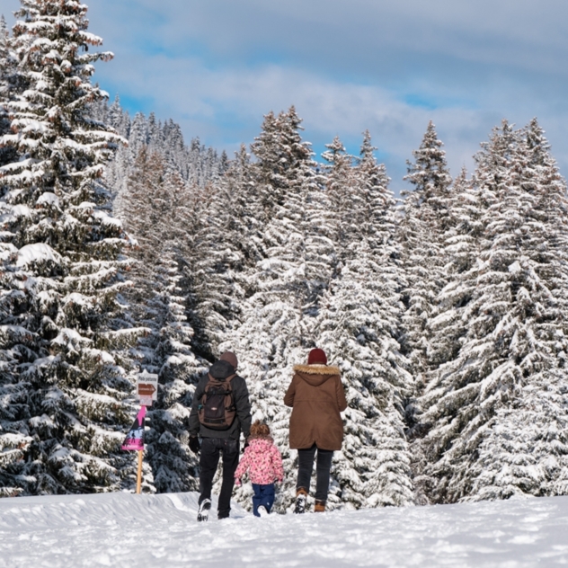 Le Renardeau auf Schneeschuhen