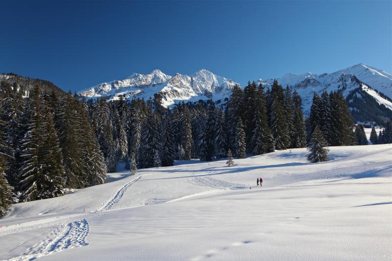 Piste piétonne - hiver - Les Mosses - La Lécherette