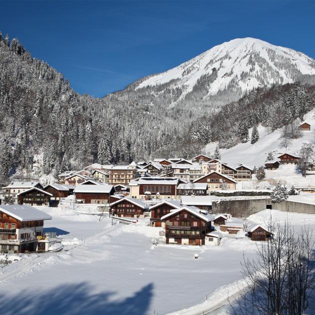 Leysin - Solepraz - Le Sépey with snowshoes