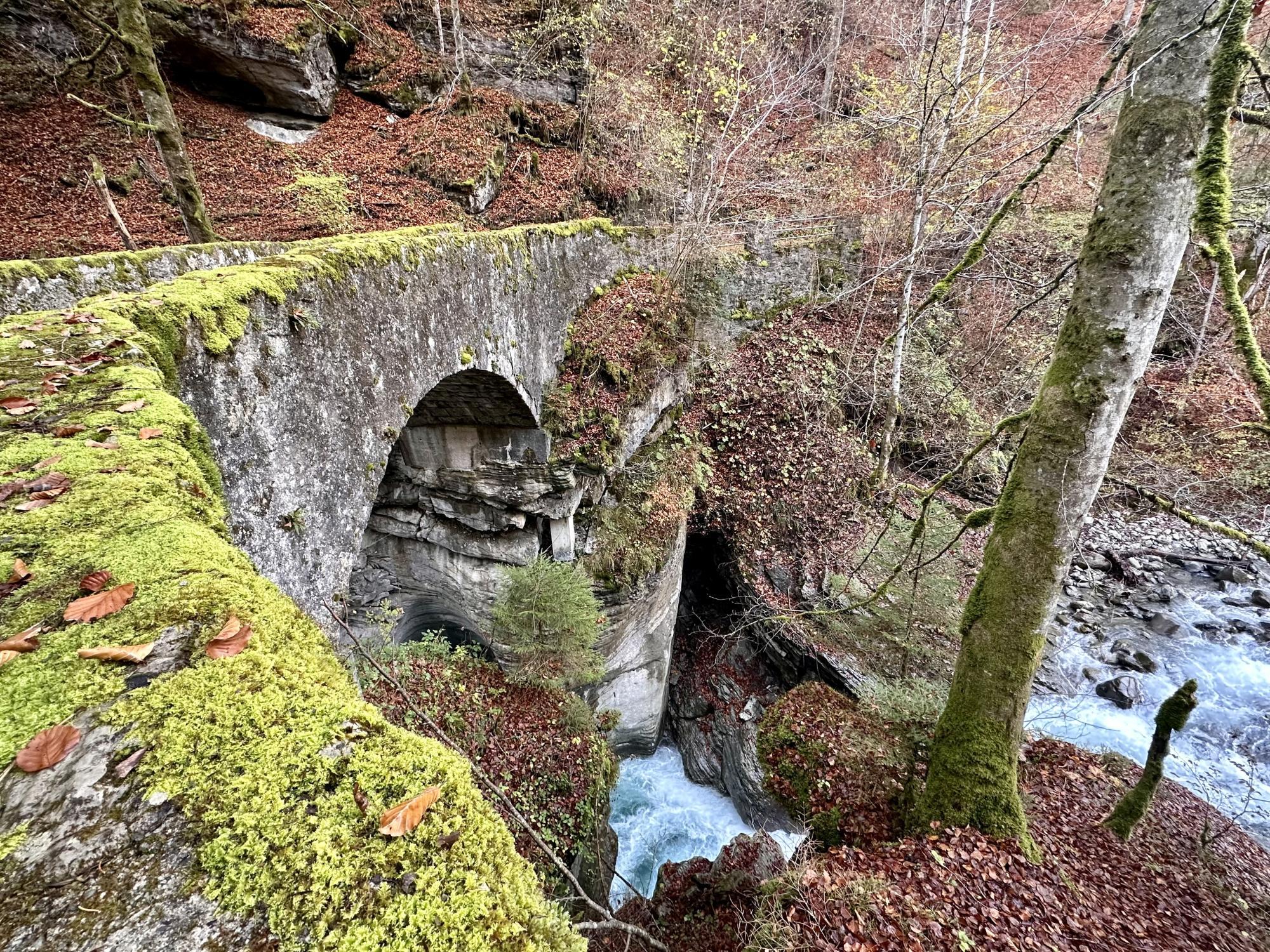 Ancien pont en pierre de la Tine en automne, recouvert de mousse et de feuilles mortes.