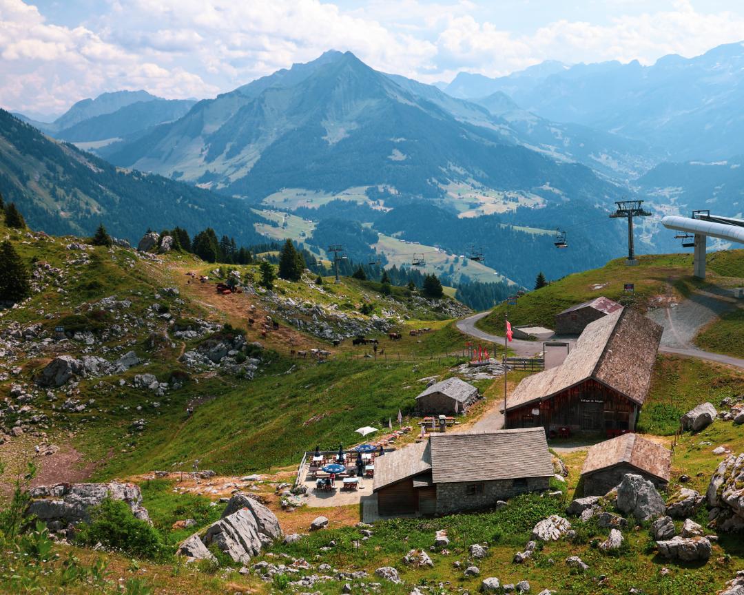 Gourmet hike 2025 - Mayen - Leysin