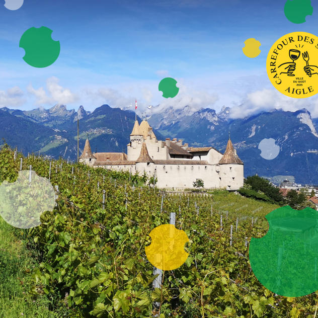 Reception for the President of the Grand Council of Vaud