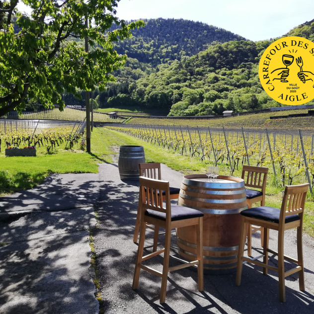 Brunch in the heart of the vineyards