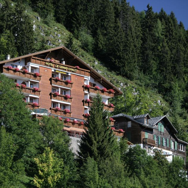 Hôtel Le Grand Chalet