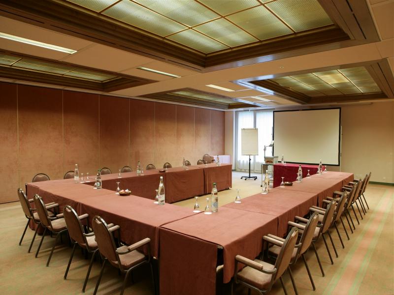 Alpine Classic Hotel / conference room - Leysin