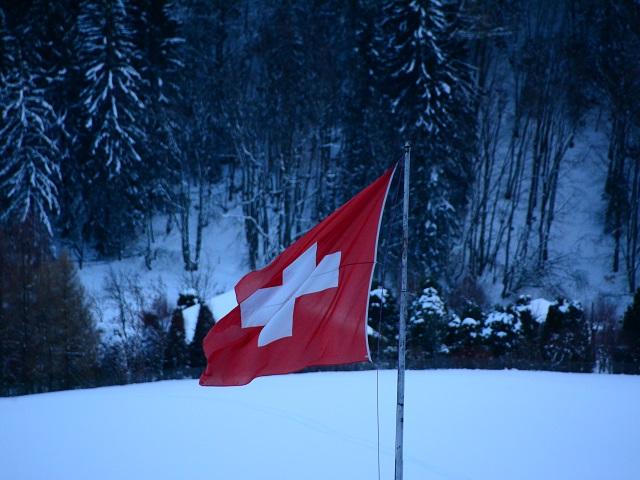 Chalet le Petit Tremplin / vue - hiver - Leysin