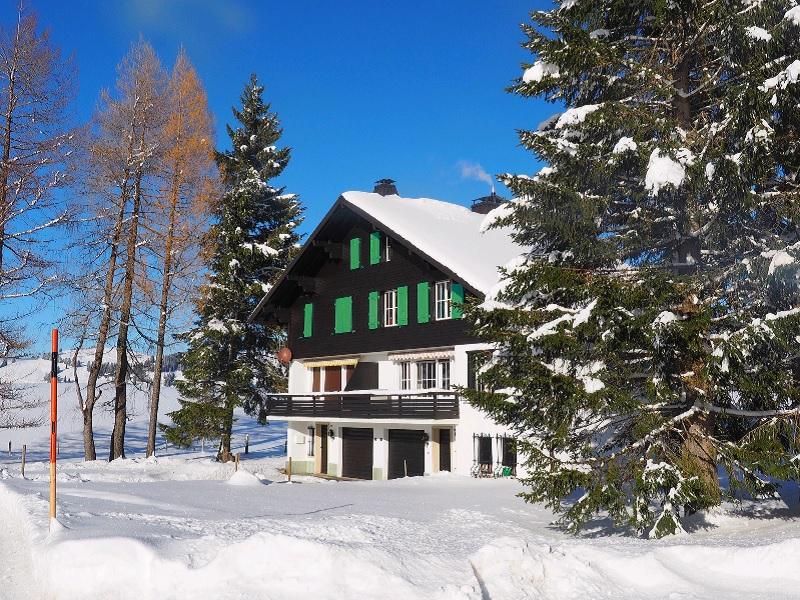 B&B Fleurs des Alpes - winter - Les Mosses