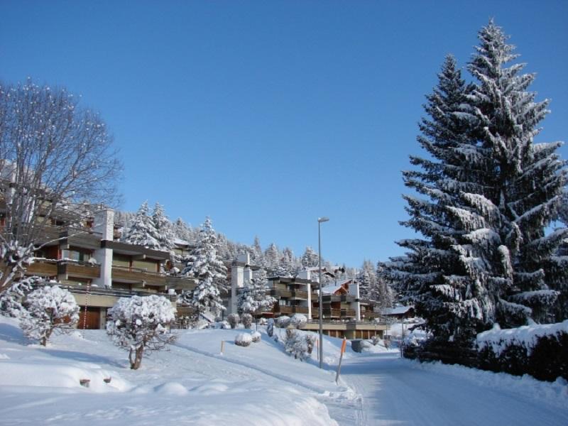 Roc d'Orsay - winter - Leysin