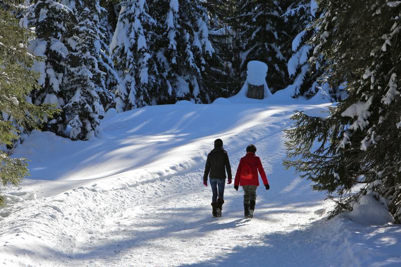 Winter Hiking - winter - Les Mosses