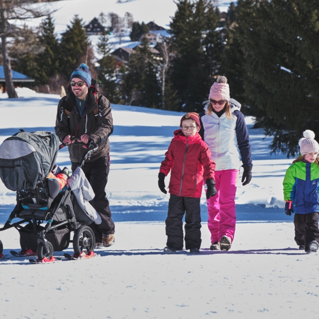 Winterwanderung Les Mosses - La Lécherette