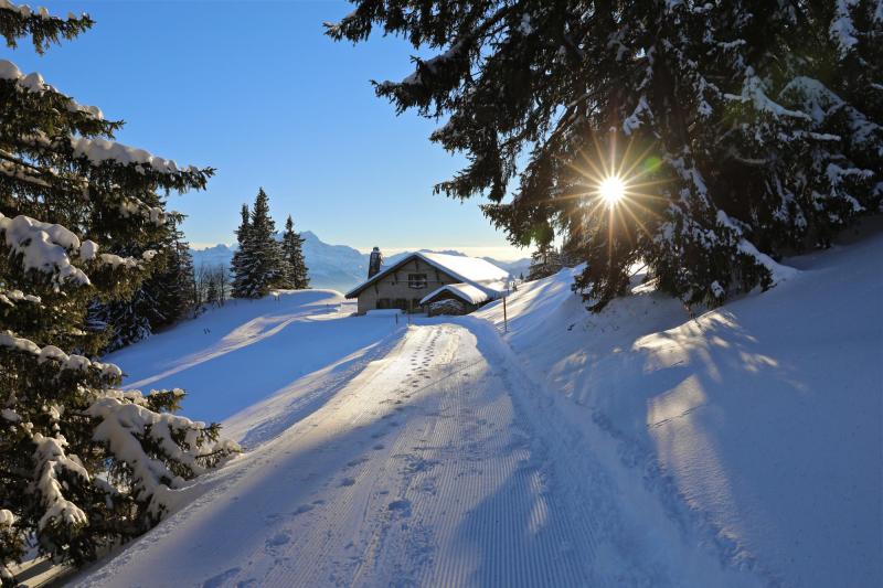 Buvette du Temeley - winter - Leysin