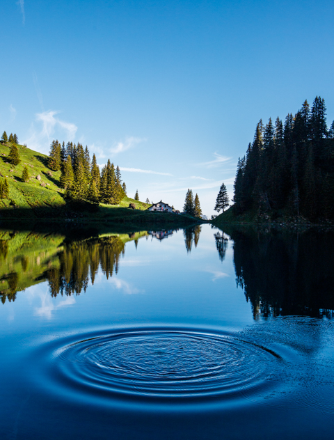 Restaurant du Lac Lioson