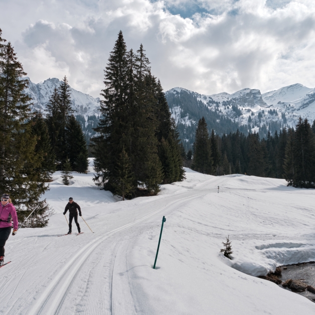 Le Carro en ski de fond (n°557 SM)