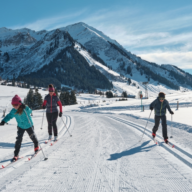 Ski de fond Les Mosses-la Lécherette (n°556 SM)