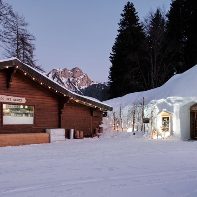 Les Igloos du Village des Neiges