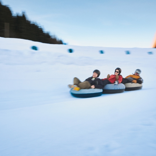 Tobogganing Park