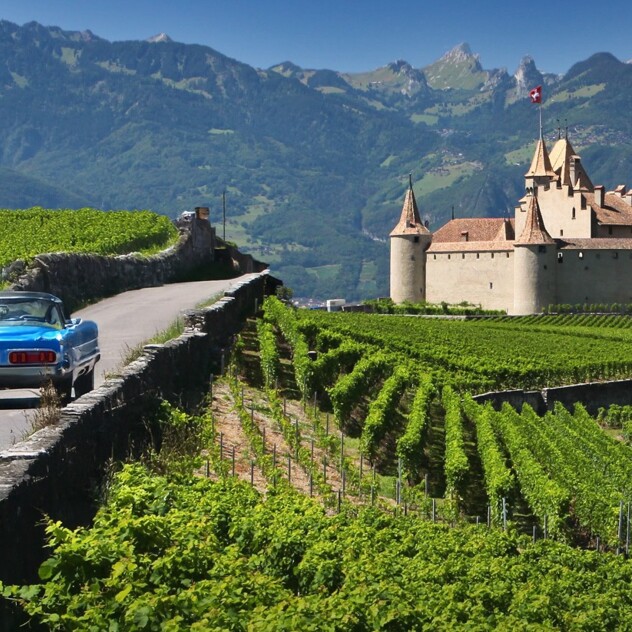Wein-Rallye