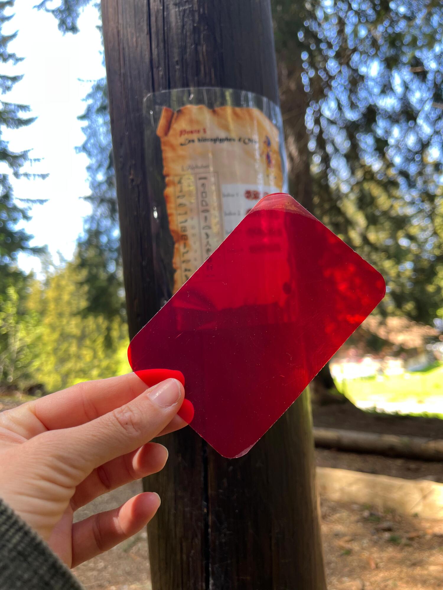 Unser wertvoller roter Filter gibt uns Hinweise darauf, welchen Spuren wir folgen sollten