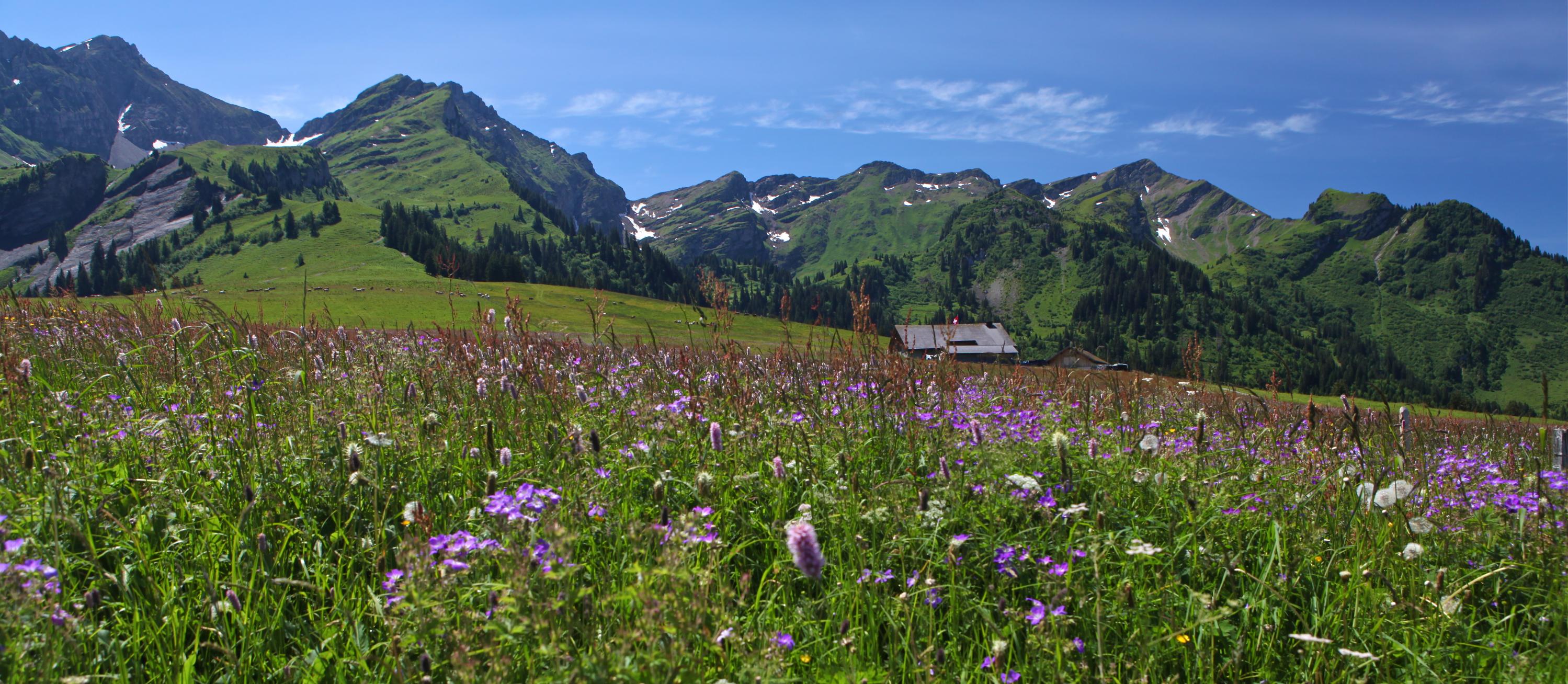 Les offices du tourisme des Alpes Vaudoises