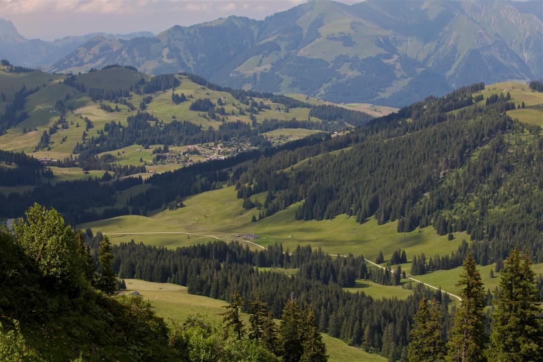 La Lécherette Aigle, Leysin, Les Mosses