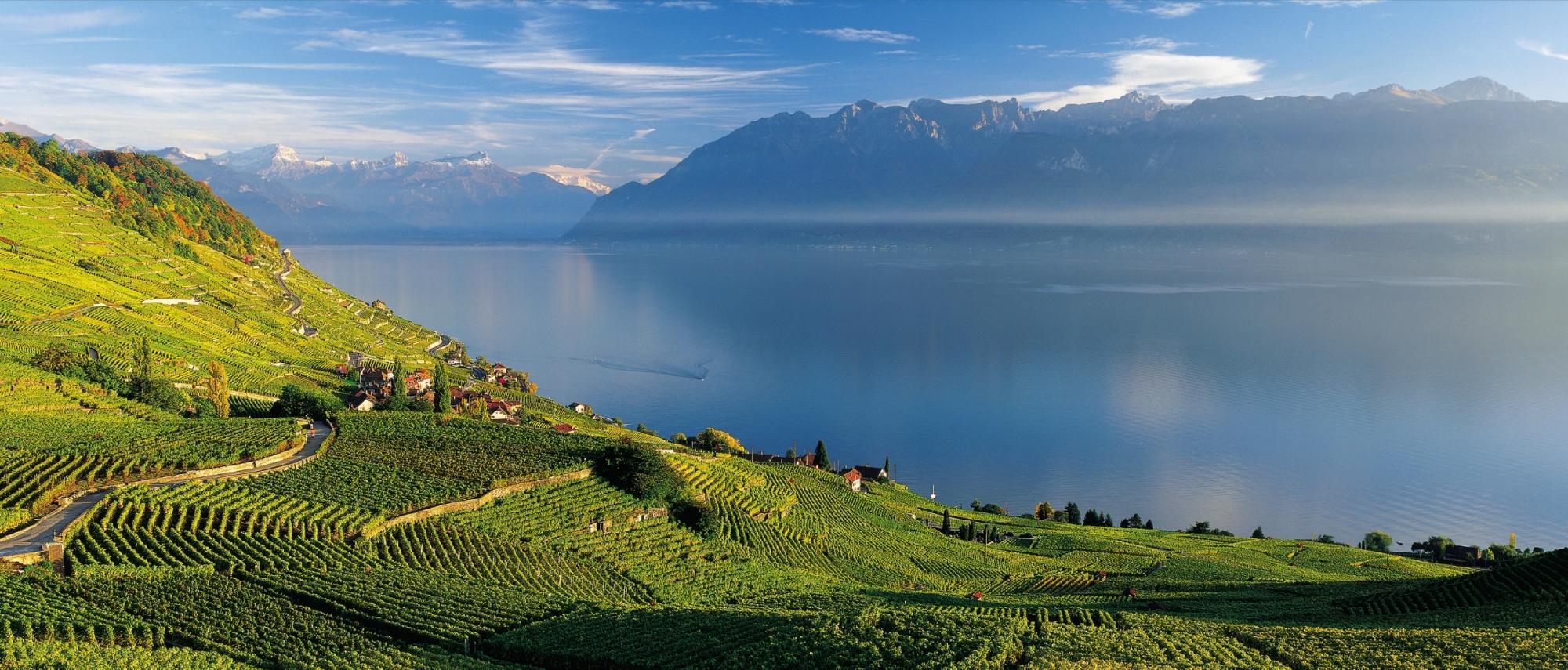 Lavaux