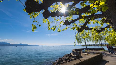 Ouchy - Lake Geneva