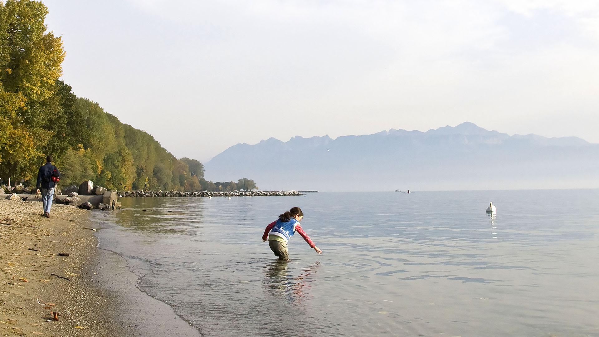 Walk by the lake Geneva