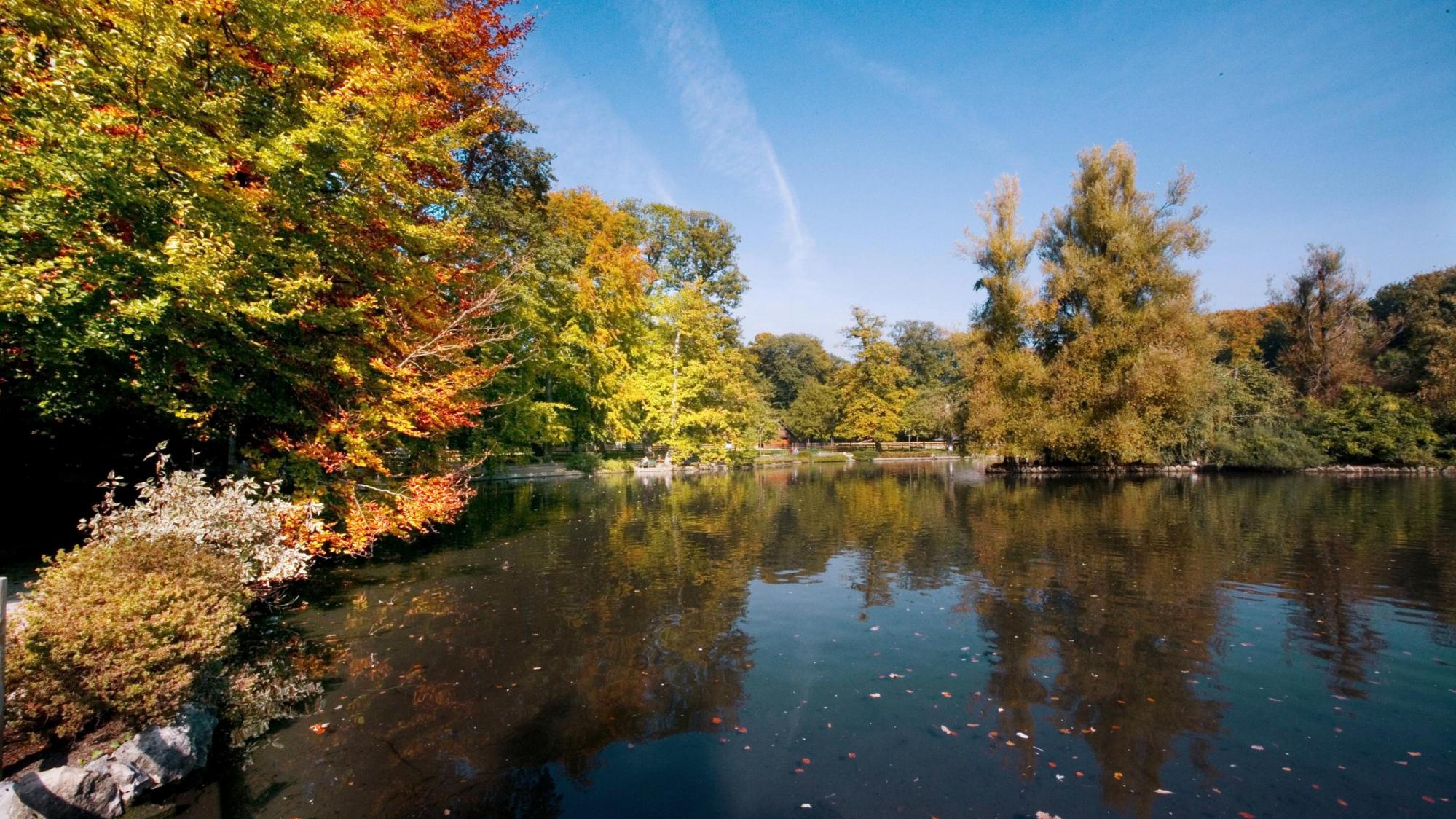 Sauvabelin Park