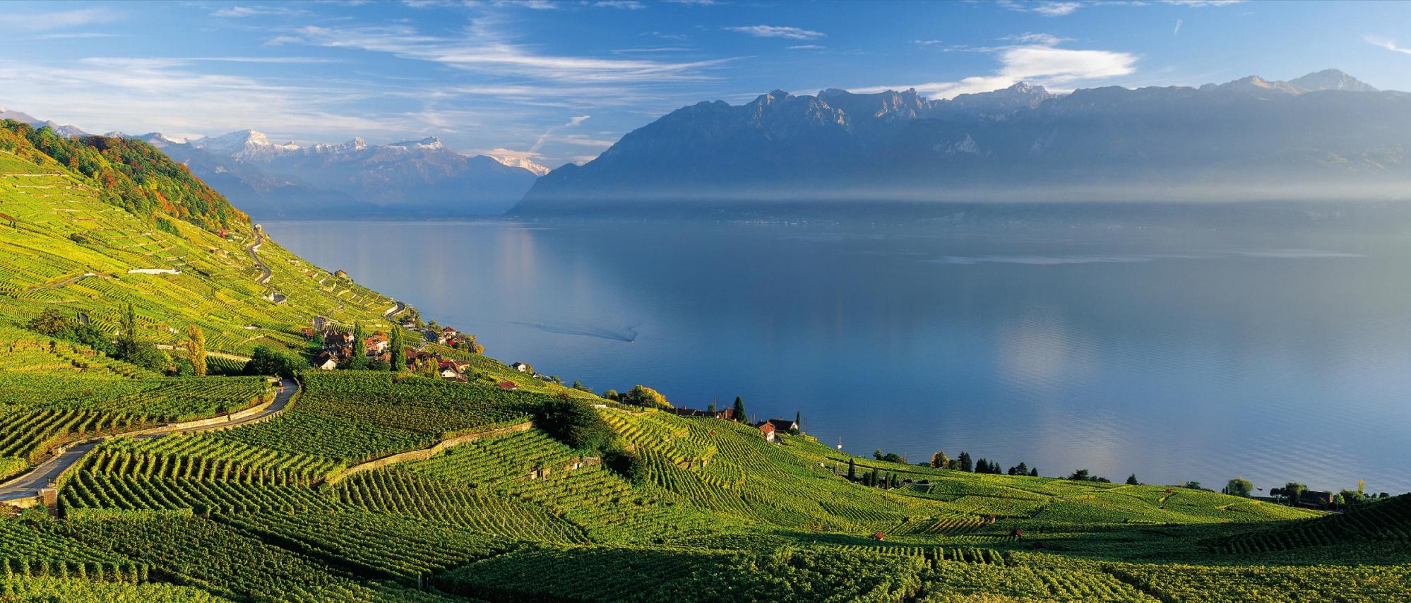 Weinberge Lavaux