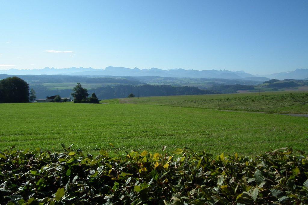 Vue-sur-les-alpes-et-prealpes_lg