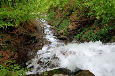 waterfall-in-forest_md