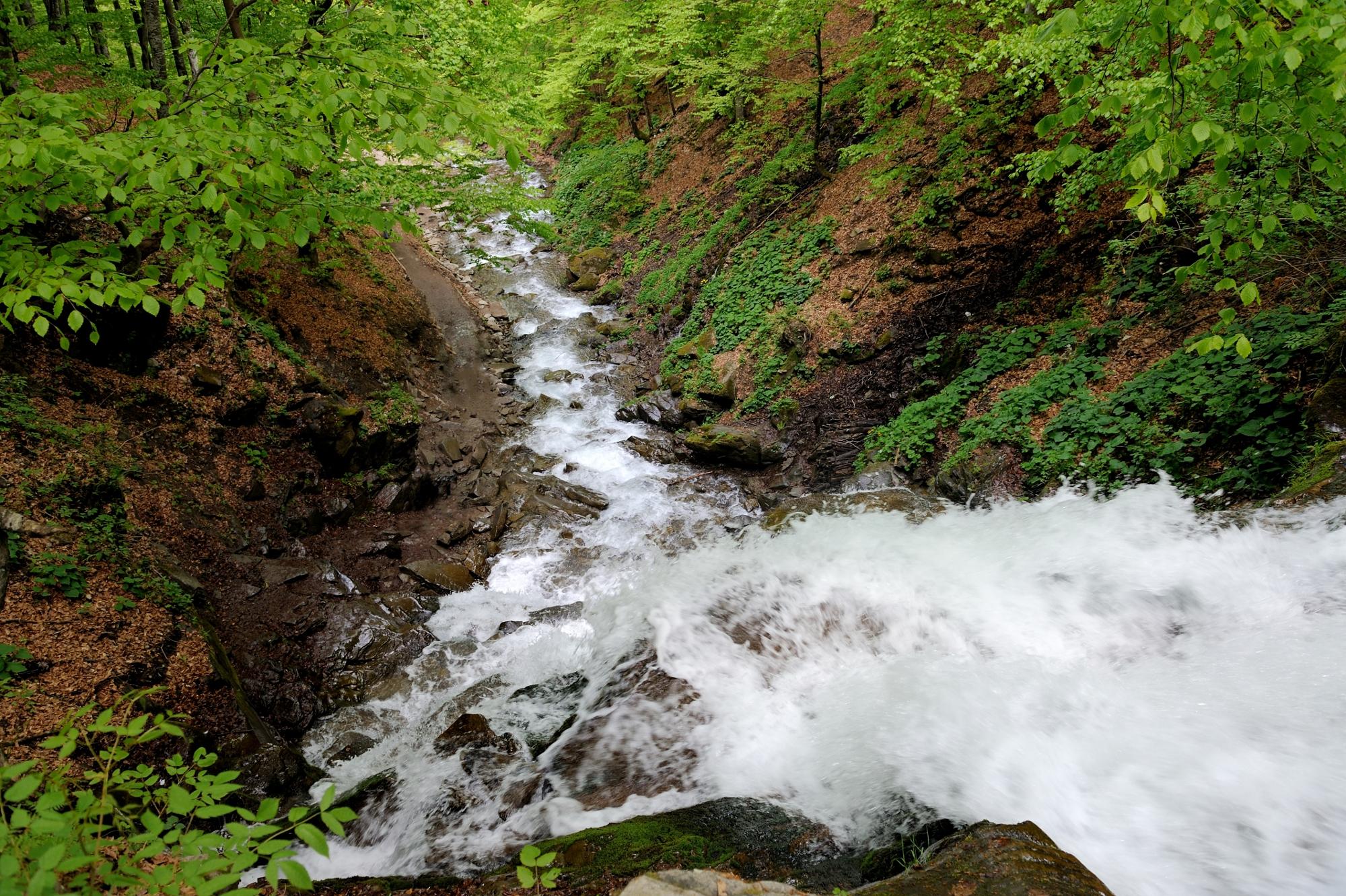 Waterfall in forest. In the deep forest on mountain