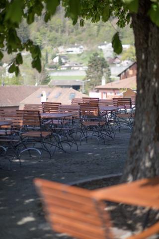 Le_Marronnier