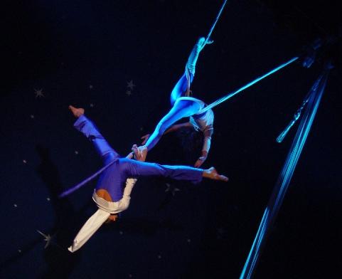 Spectacle cirque Helvetia