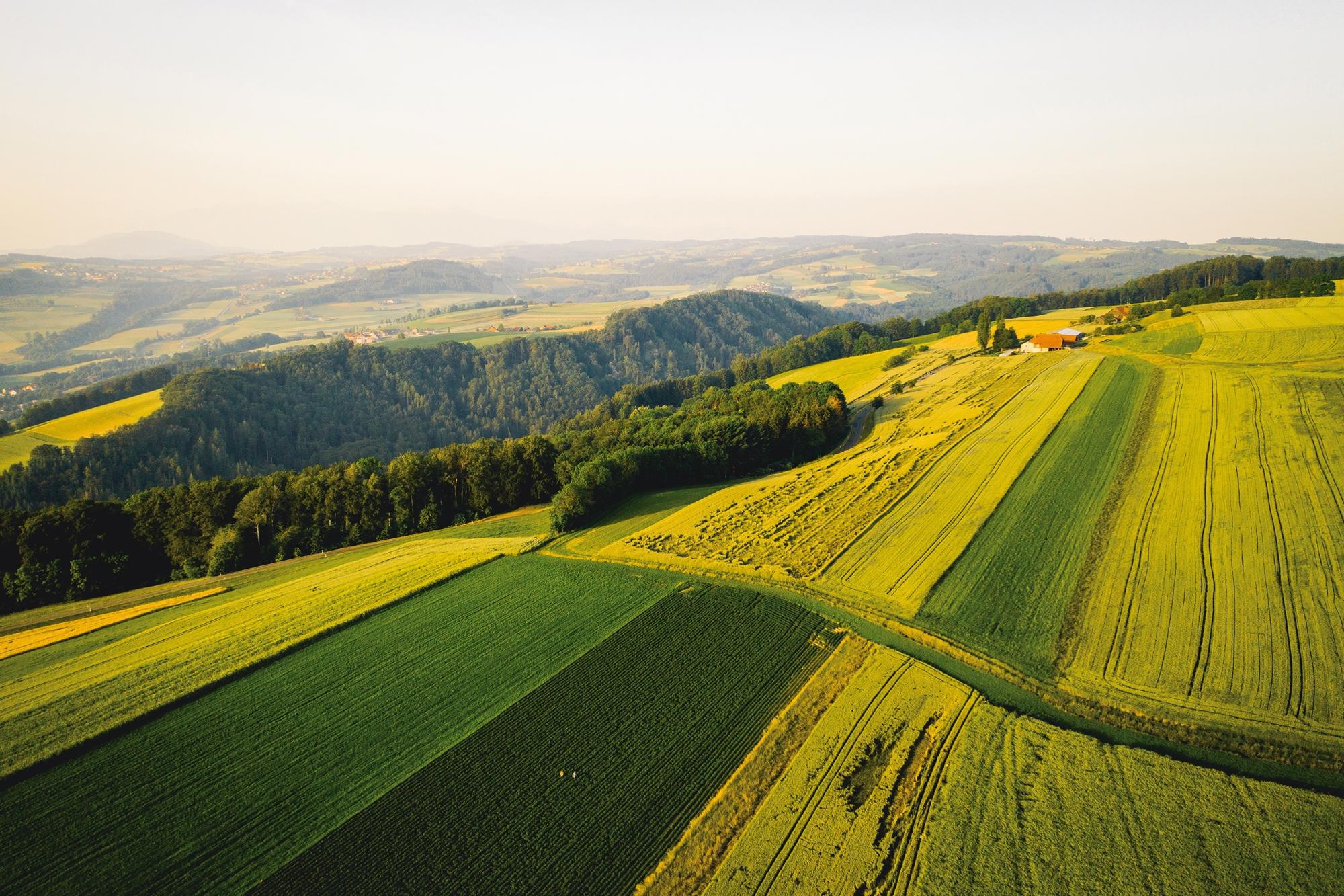 Mood_campagne moudonnoise