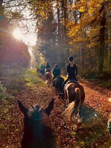 Ferme-perraire_001-automne