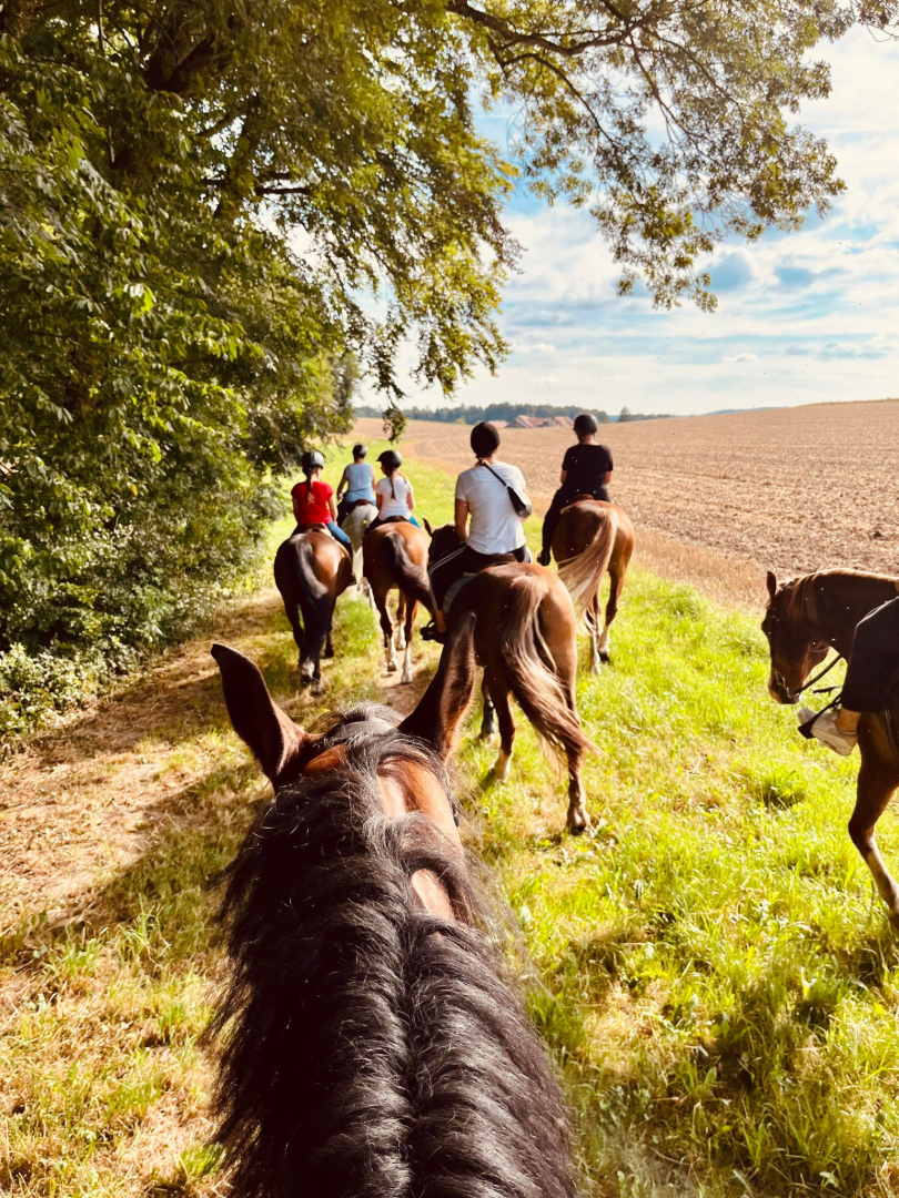 Ferme-perraire_002-été