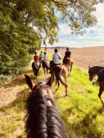 Ferme-perraire_002-été