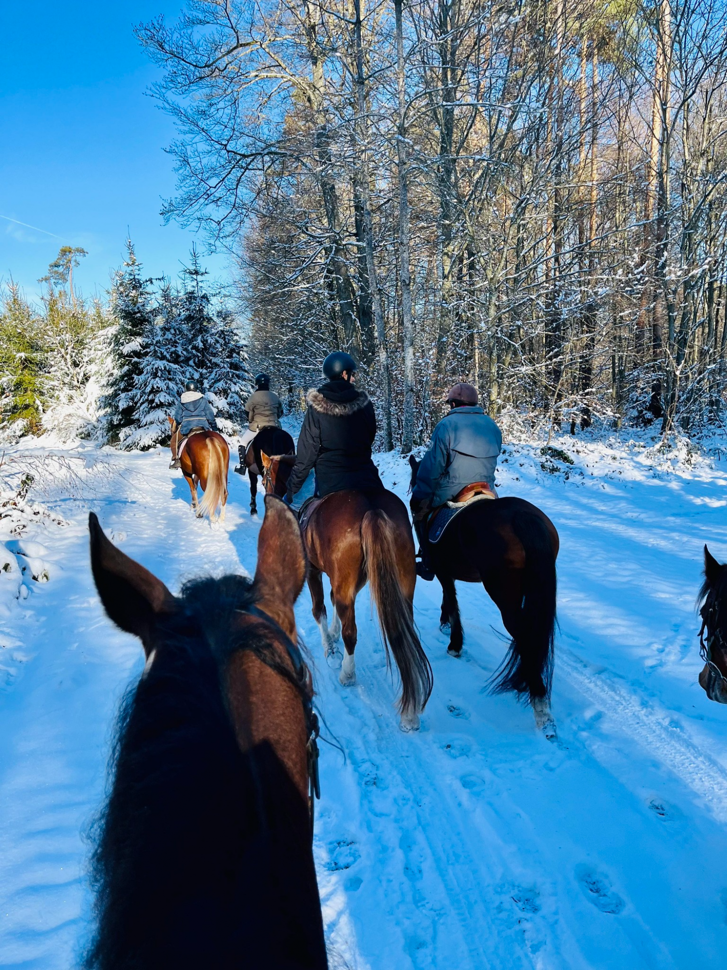 Ferme-perraire_003-hiver