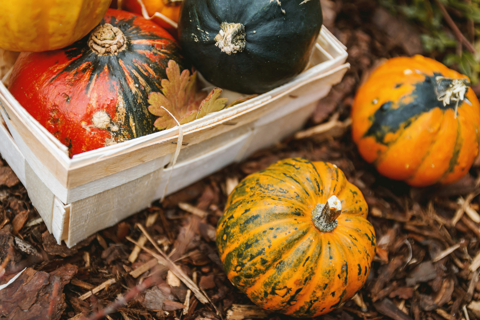 Mood_marché-automne