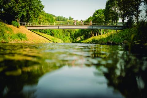 Berges_broyeMoudon_campagne_028_copyright_Willam_Gammuto