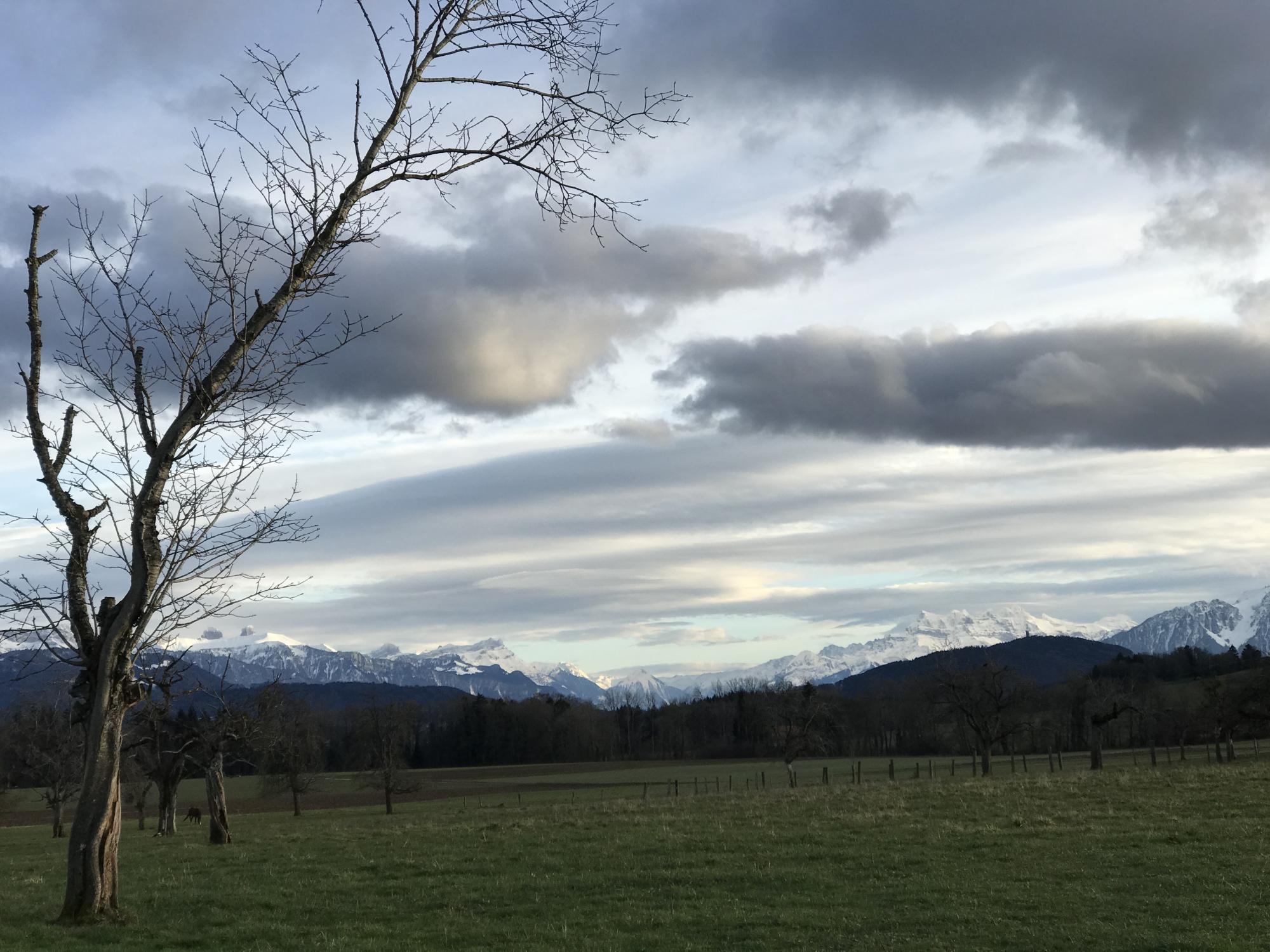 rando-a-l-horizon9_copyright_CaroleBardy