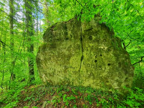 Pierre-à-Sapenard_sentier-Valbroye