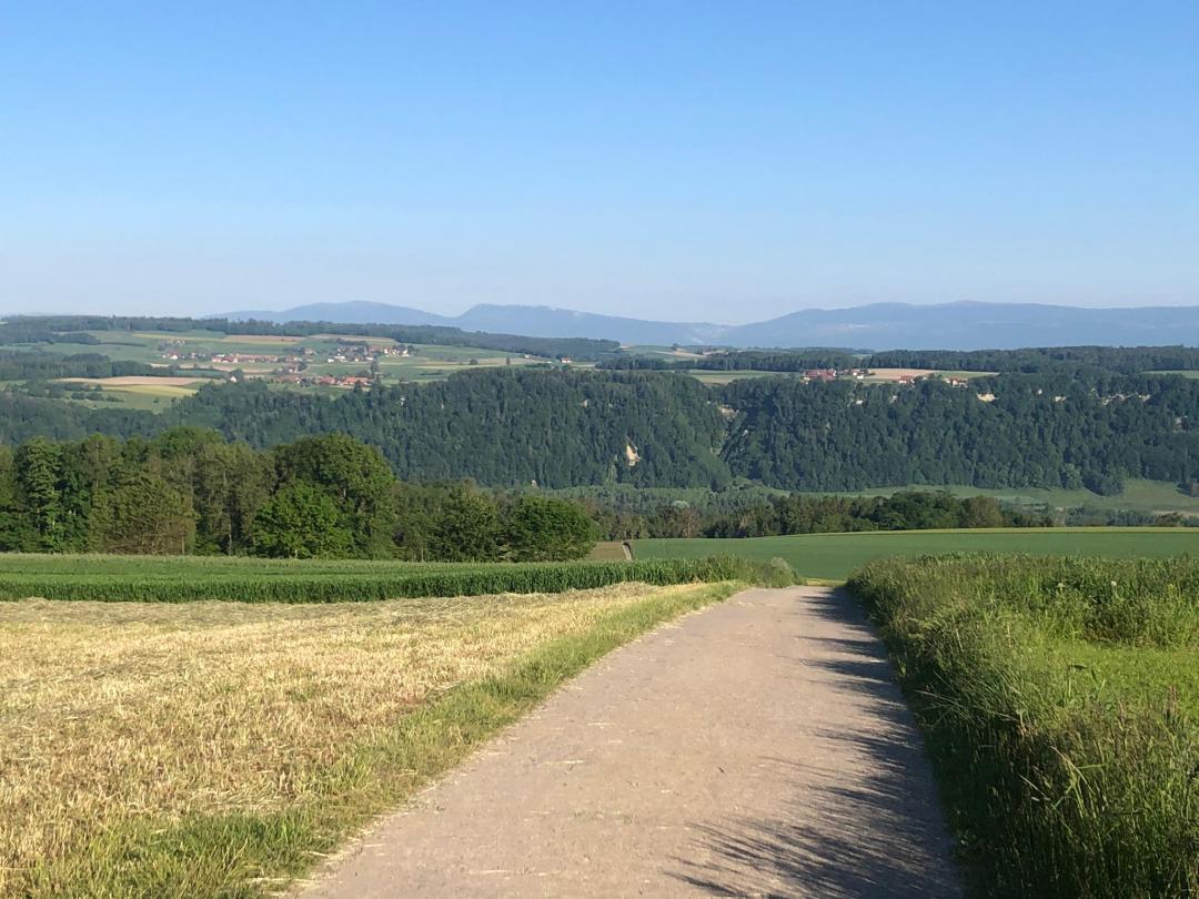Sentier 6 - la vallée_valbroye