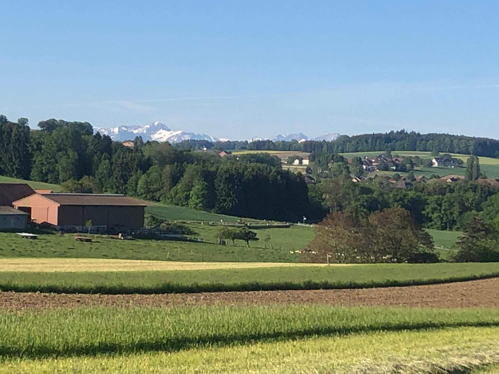 Sentier 6 - pleine vue sur les alpes - valbroye