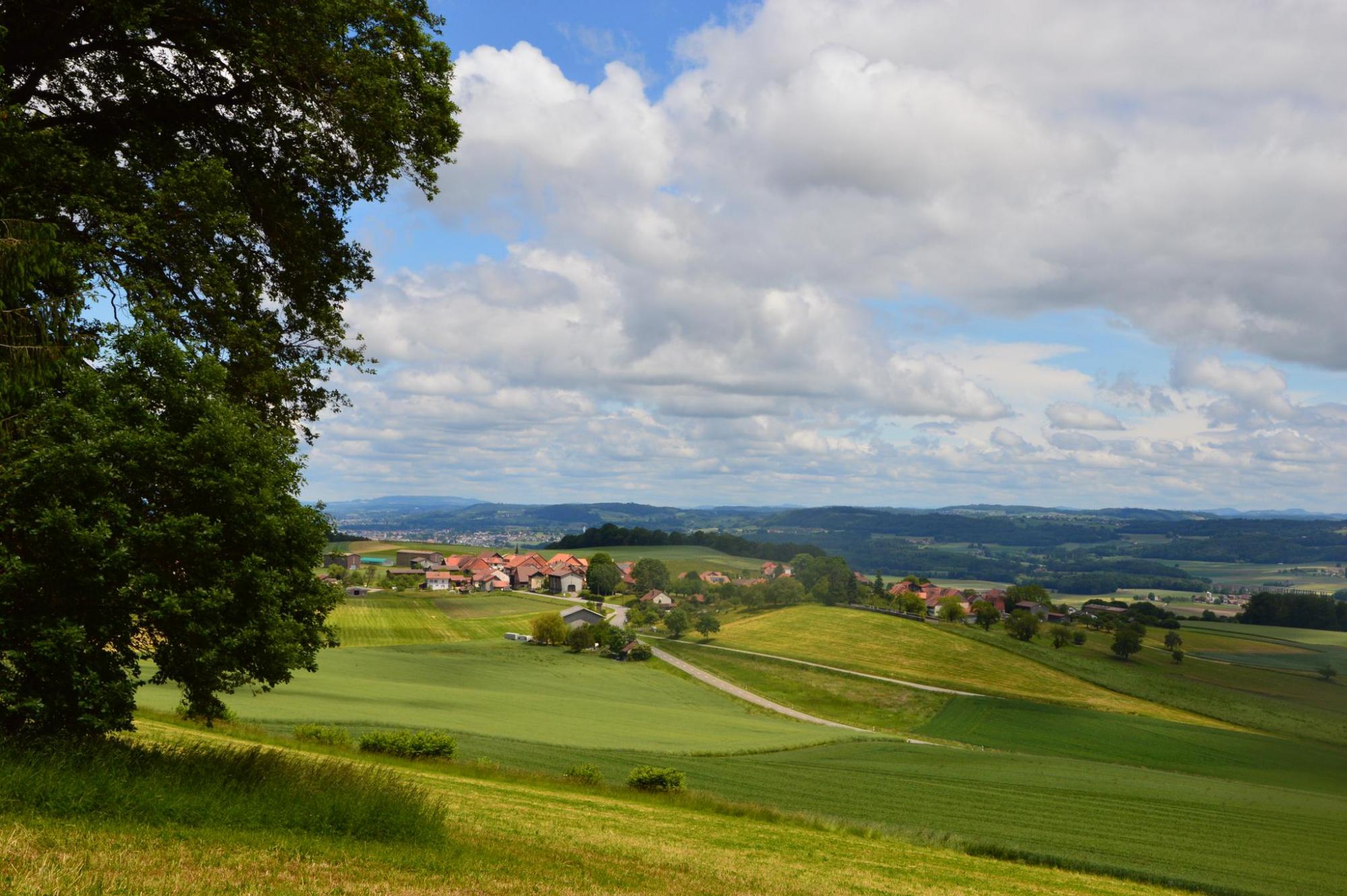 Sentier 5 - Pointvue 1 - Pleine vue sur Sassel