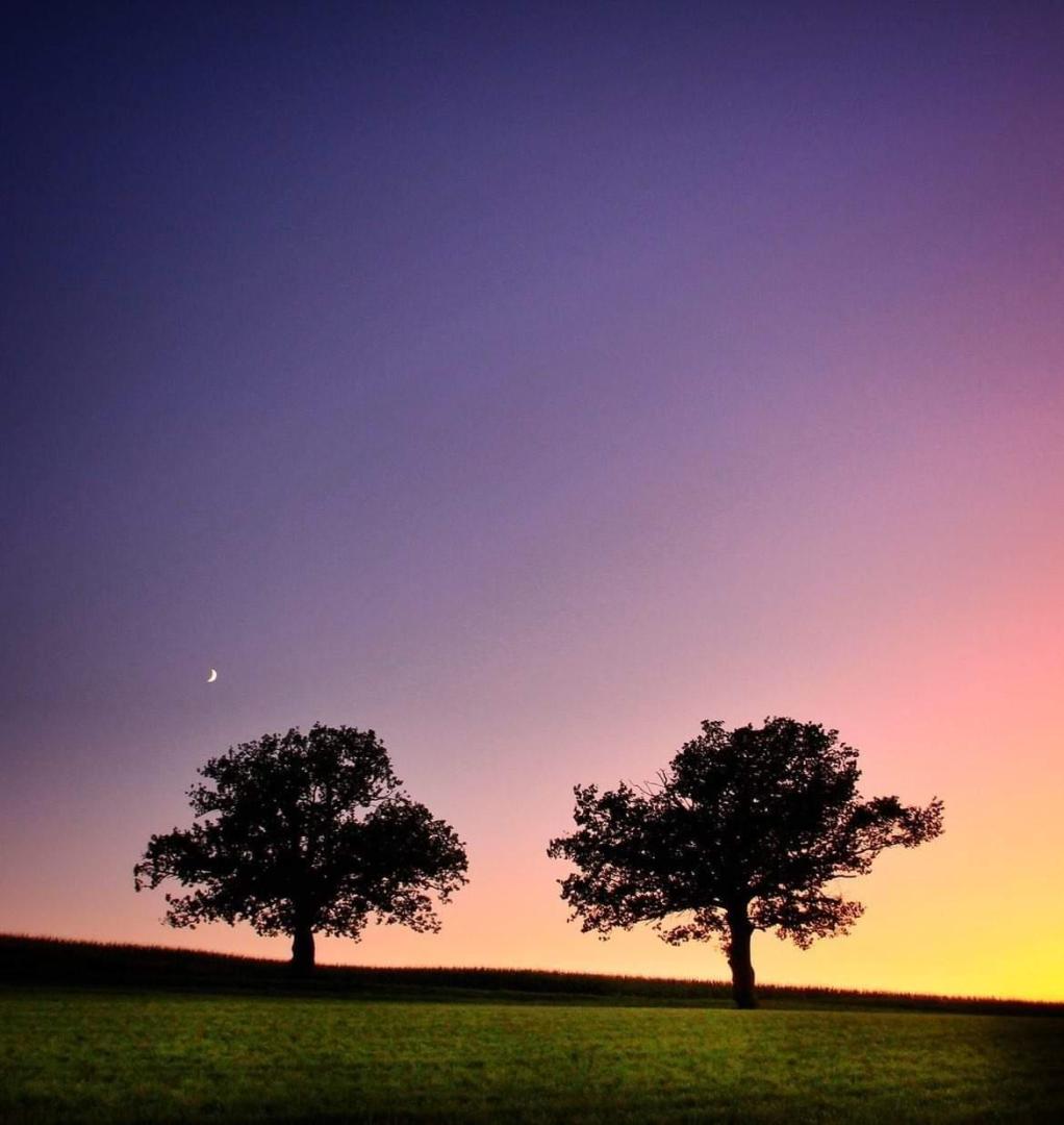 paysages_nocturne-visite-nuitrando-2025