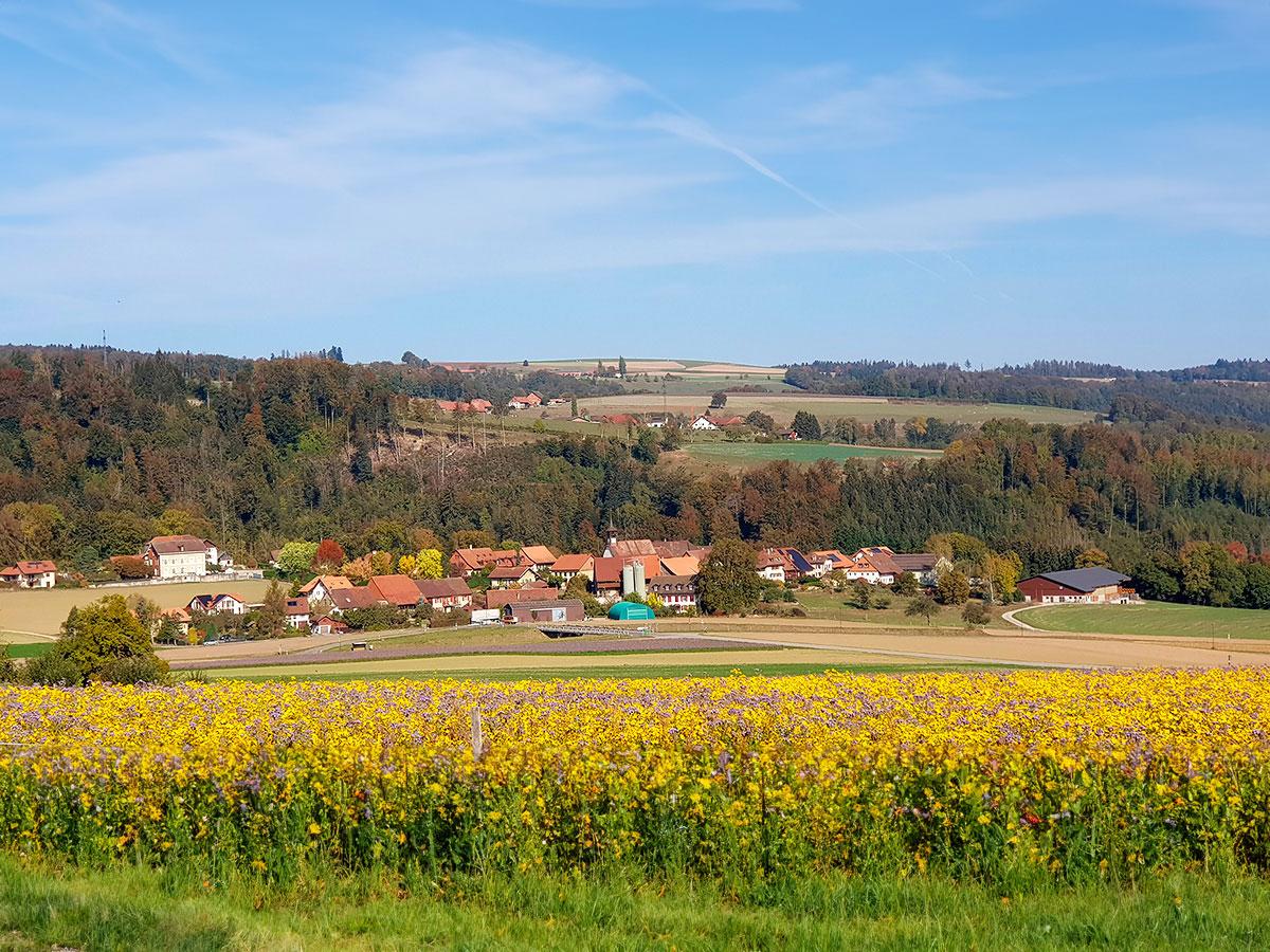 village-syens-websitecontent