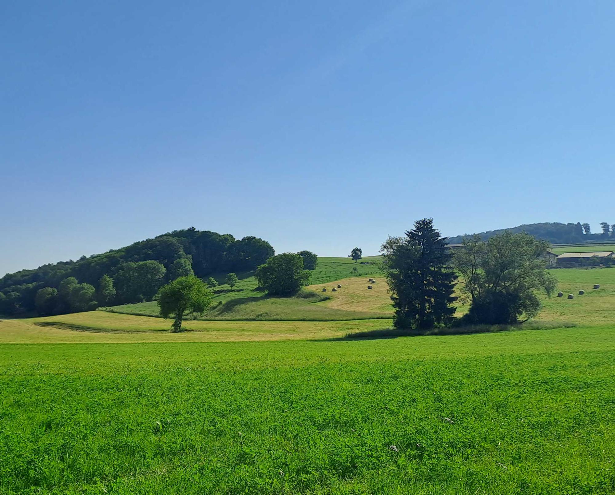 commune de Curtilles copyright Moudon Région Tourisme